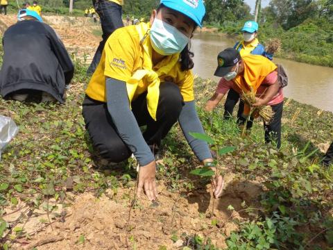 ปลูกต้นไม้เฉลิมพระเกียรติ 3 มิถุนายน 2565