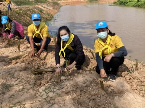 ปลูกต้นไม้เฉลิมพระเกียรติ 3 มิถุนายน 2565