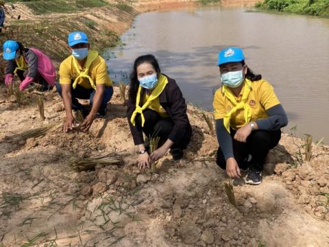 ปลูกต้นไม้เฉลิมพระเกียรติ 3 มิถุนายน 2565