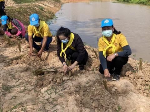 ปลูกต้นไม้เฉลิมพระเกียรติ 3 มิถุนายน 2565