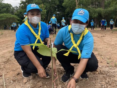 โครงการปลูกต้นไม้เนื่องในวันสำคัญต่าง ๆ 2565