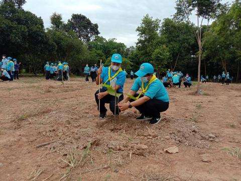 โครงการปลูกต้นไม้เนื่องในวันสำคัญต่าง ๆ 2565