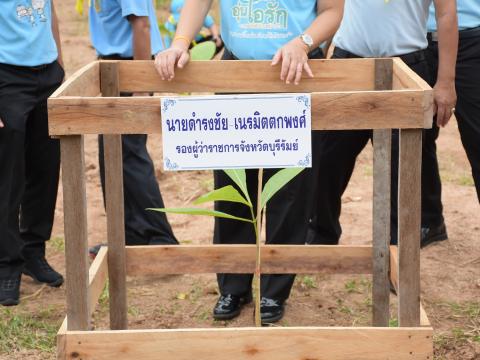 โครงการปลูกต้นไม้เนื่องในวันสำคัญต่าง ๆ 2565