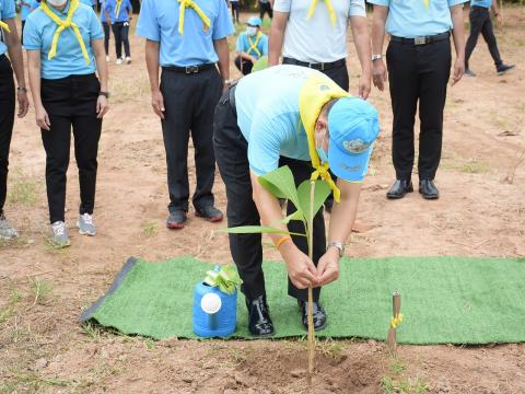 โครงการปลูกต้นไม้เนื่องในวันสำคัญต่าง ๆ 2565