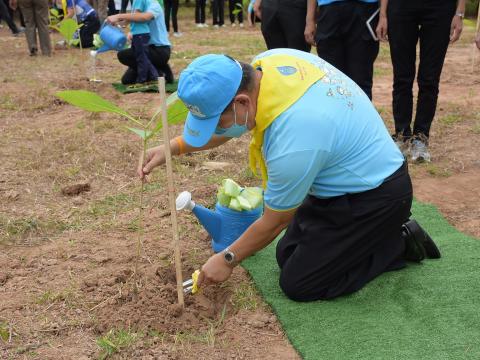 โครงการปลูกต้นไม้เนื่องในวันสำคัญต่าง ๆ 2565