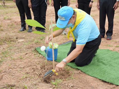 โครงการปลูกต้นไม้เนื่องในวันสำคัญต่าง ๆ 2565