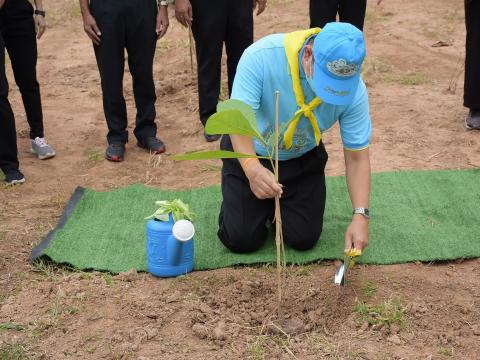 โครงการปลูกต้นไม้เนื่องในวันสำคัญต่าง ๆ 2565