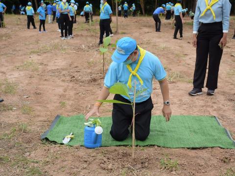 โครงการปลูกต้นไม้เนื่องในวันสำคัญต่าง ๆ 2565