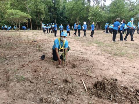 โครงการปลูกต้นไม้เนื่องในวันสำคัญต่าง ๆ 2565