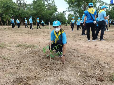 โครงการปลูกต้นไม้เนื่องในวันสำคัญต่าง ๆ 2565