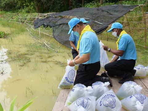 โครงการปลูกต้นไม้เนื่องในวันสำคัญต่าง ๆ 2565