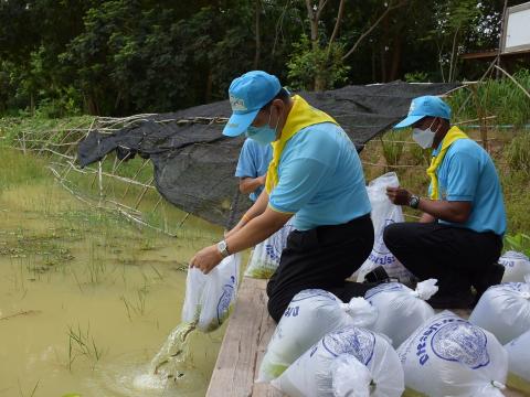 โครงการปลูกต้นไม้เนื่องในวันสำคัญต่าง ๆ 2565