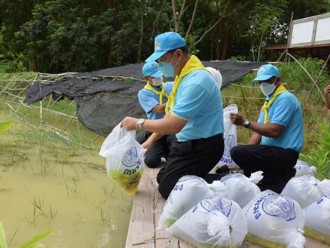 โครงการปลูกต้นไม้เนื่องในวันสำคัญต่าง ๆ 2565