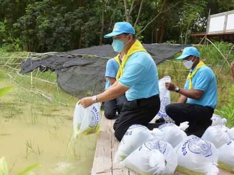 โครงการปลูกต้นไม้เนื่องในวันสำคัญต่าง ๆ 2565