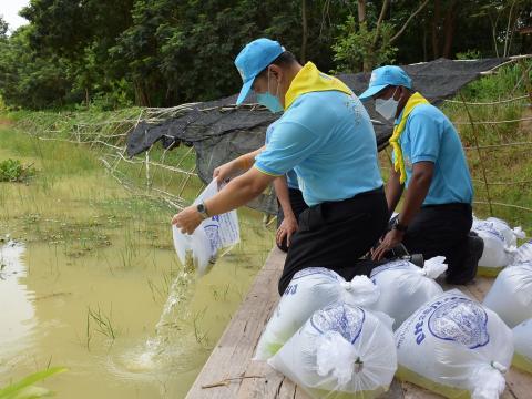 โครงการปลูกต้นไม้เนื่องในวันสำคัญต่าง ๆ 2565