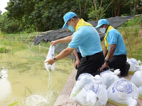 โครงการปลูกต้นไม้เนื่องในวันสำคัญต่าง ๆ 2565