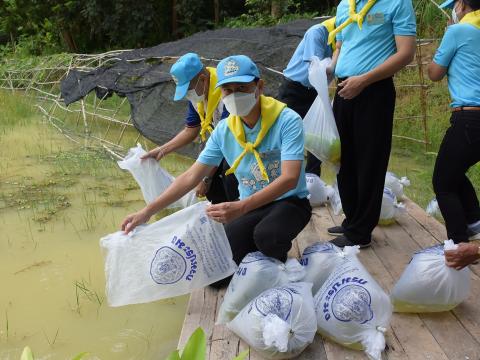 โครงการปลูกต้นไม้เนื่องในวันสำคัญต่าง ๆ 2565