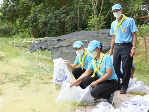 โครงการปลูกต้นไม้เนื่องในวันสำคัญต่าง ๆ 2565