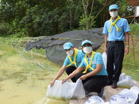 โครงการปลูกต้นไม้เนื่องในวันสำคัญต่าง ๆ 2565