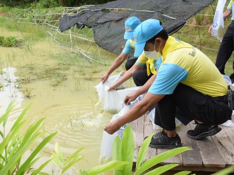 โครงการปลูกต้นไม้เนื่องในวันสำคัญต่าง ๆ 2565