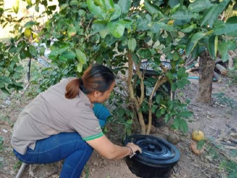 โครงการคัดแยกขยะ ลดมลพิษ เพื่อพัฒนาคุณภาพชีวิตและสิ่งแวดล้อม ประจำปีงบประมาณ 2566