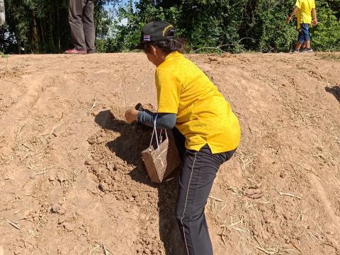 กิจกรรม ปลูกต้นไม้วันพระบรมราชสมภพ พระบาทสมเด็จพระปรเมนทรรามาธิบดีศรีสินทรมหาวชิราลงกรณ พระวชิรเกล้าเจ้าอยู่หัว