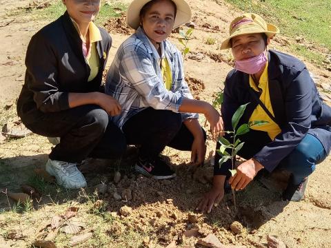 กิจกรรม ปลูกต้นไม้วันพระบรมราชสมภพ พระบาทสมเด็จพระปรเมนทรรามาธิบดีศรีสินทรมหาวชิราลงกรณ พระวชิรเกล้าเจ้าอยู่หัว