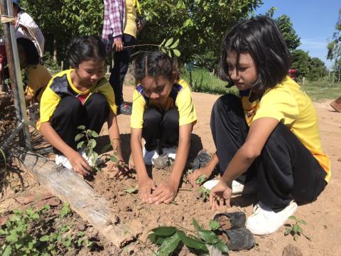 กิจกรรม ปลูกต้นไม้วันพระบรมราชสมภพ พระบาทสมเด็จพระปรเมนทรรามาธิบดีศรีสินทรมหาวชิราลงกรณ พระวชิรเกล้าเจ้าอยู่หัว