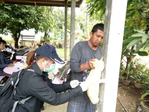 ออกให้บริการฉีดวัคซีนป้องกันโรคพิษสุนัขบ้า ประจำปี 2567