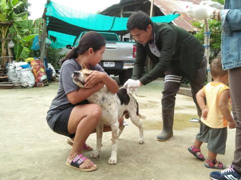 ออกให้บริการฉีดวัคซีนป้องกันโรคพิษสุนัขบ้า ประจำปี 2567