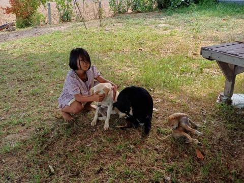 ออกให้บริการฉีดวัคซีนป้องกันโรคพิษสุนัขบ้า ประจำปี 2567