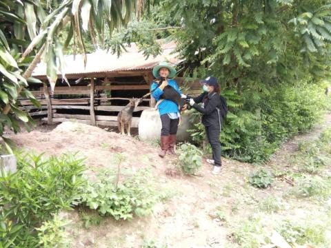 ออกให้บริการฉีดวัคซีนป้องกันโรคพิษสุนัขบ้า ประจำปี 2567