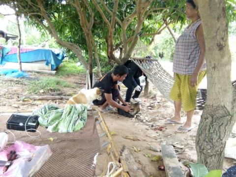 ออกให้บริการฉีดวัคซีนป้องกันโรคพิษสุนัขบ้า ประจำปี 2567