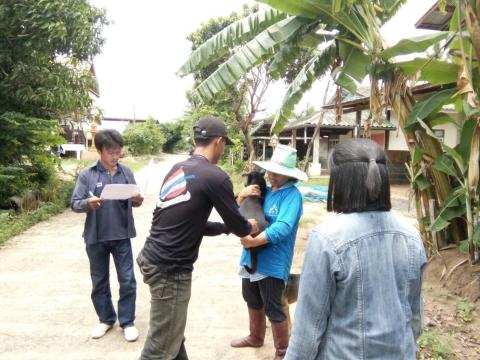 ออกให้บริการฉีดวัคซีนป้องกันโรคพิษสุนัขบ้า ประจำปี 2567